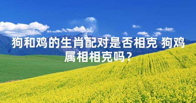 狗和鸡的生肖配对是否相克 狗鸡属相相克吗？